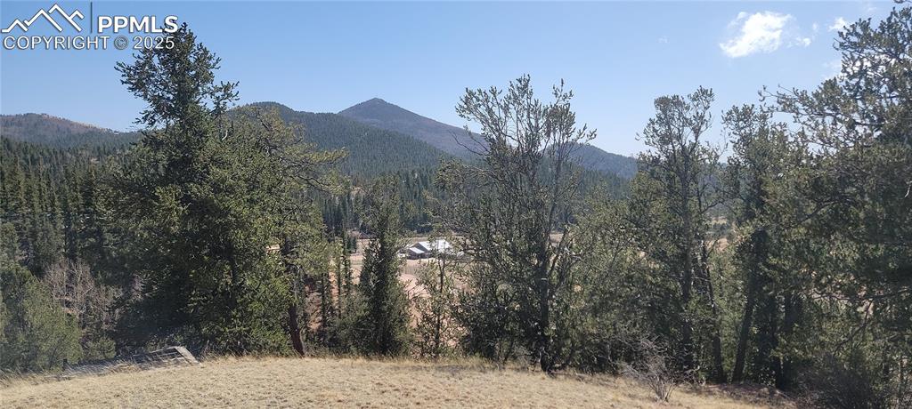 129 Portland Drive Cripple Creek CO 80813