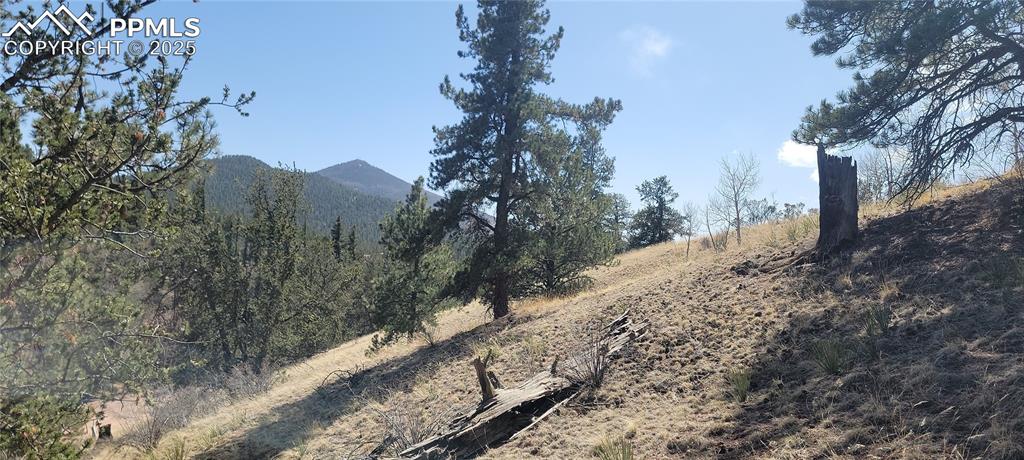 129 Portland Drive Cripple Creek CO 80813
