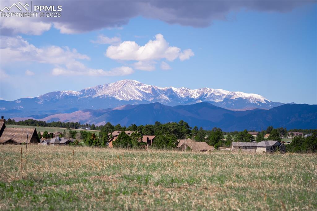 16954 Horizon Ridge Trail Colorado Springs CO 80908