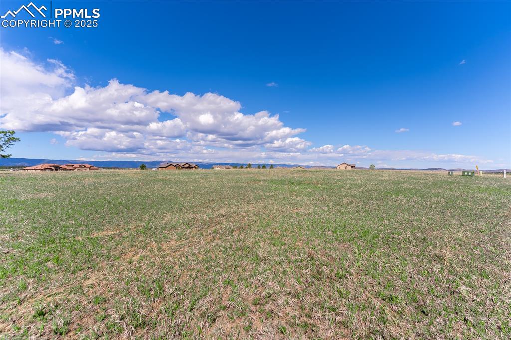 16954 Horizon Ridge Trail Colorado Springs CO 80908