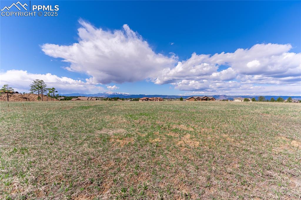 16954 Horizon Ridge Trail Colorado Springs CO 80908