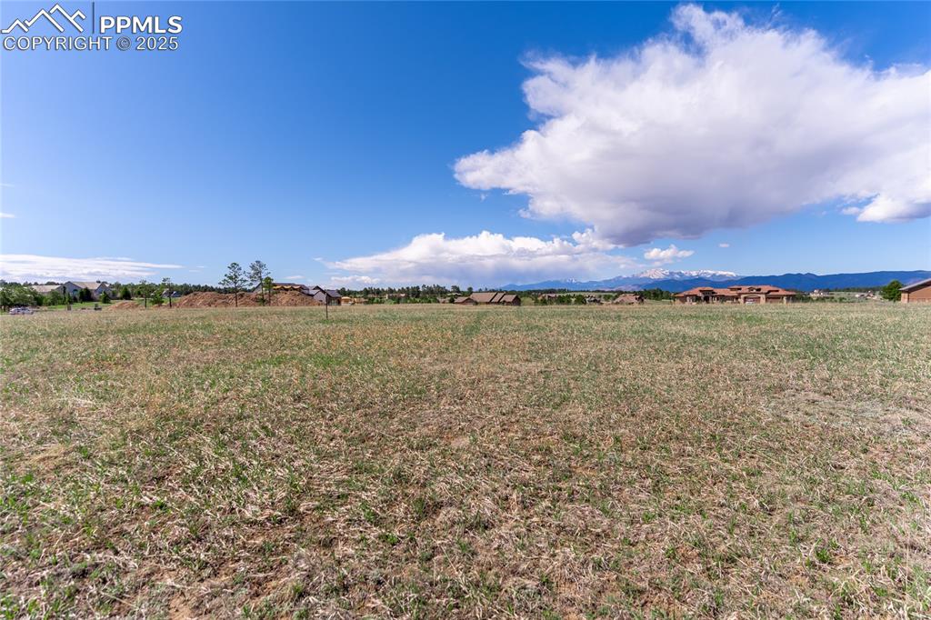 16954 Horizon Ridge Trail Colorado Springs CO 80908