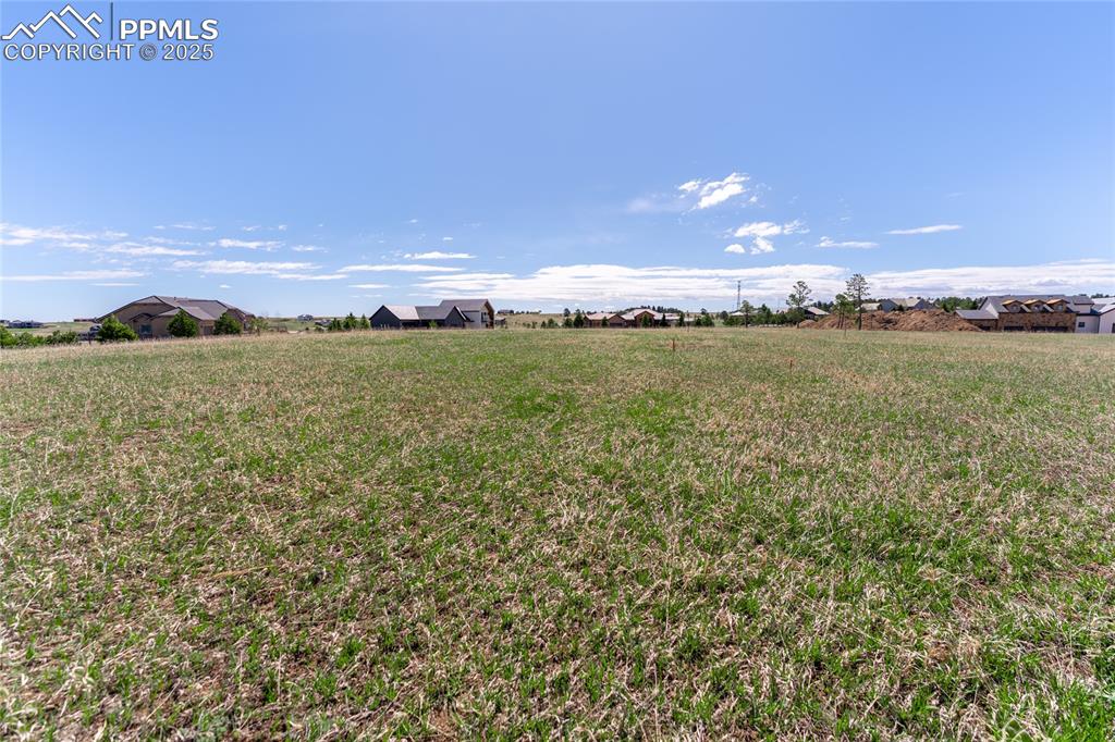 16954 Horizon Ridge Trail Colorado Springs CO 80908