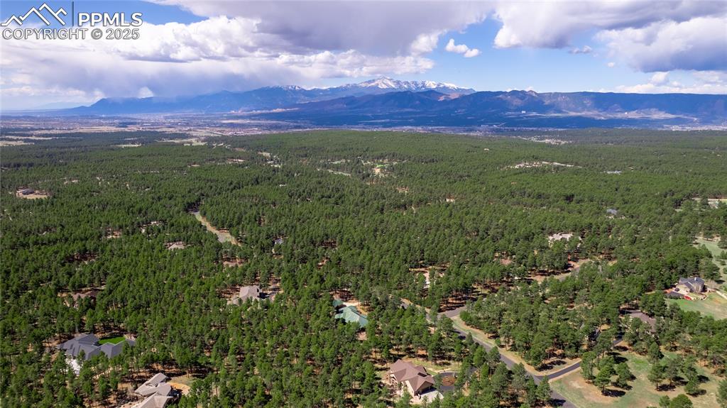 16954 Horizon Ridge Trail Colorado Springs CO 80908