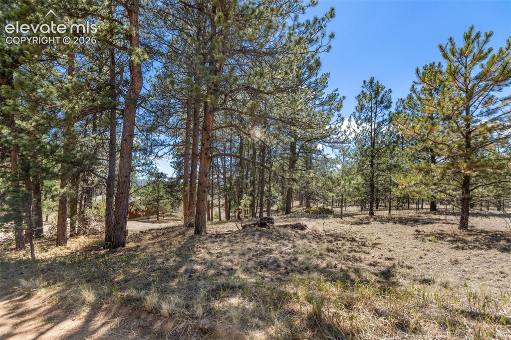 349 Rhyolite Lane Florissant CO 80816