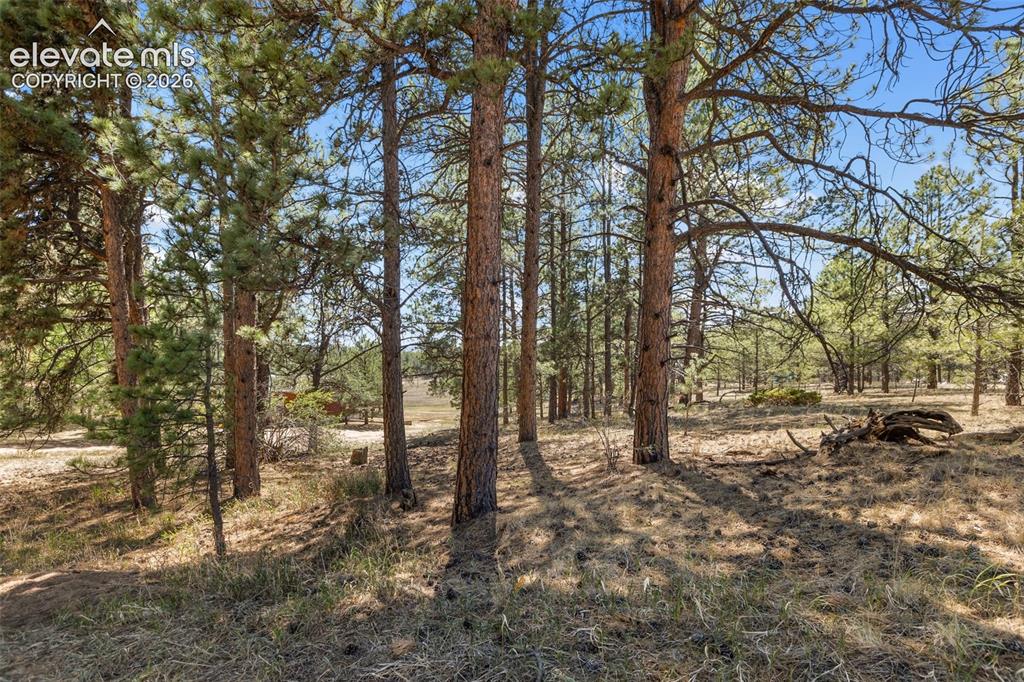 349 Rhyolite Lane Florissant CO 80816