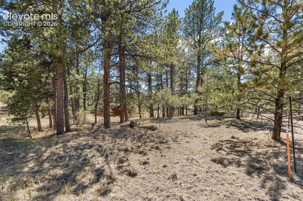 349 Rhyolite Lane Florissant CO 80816