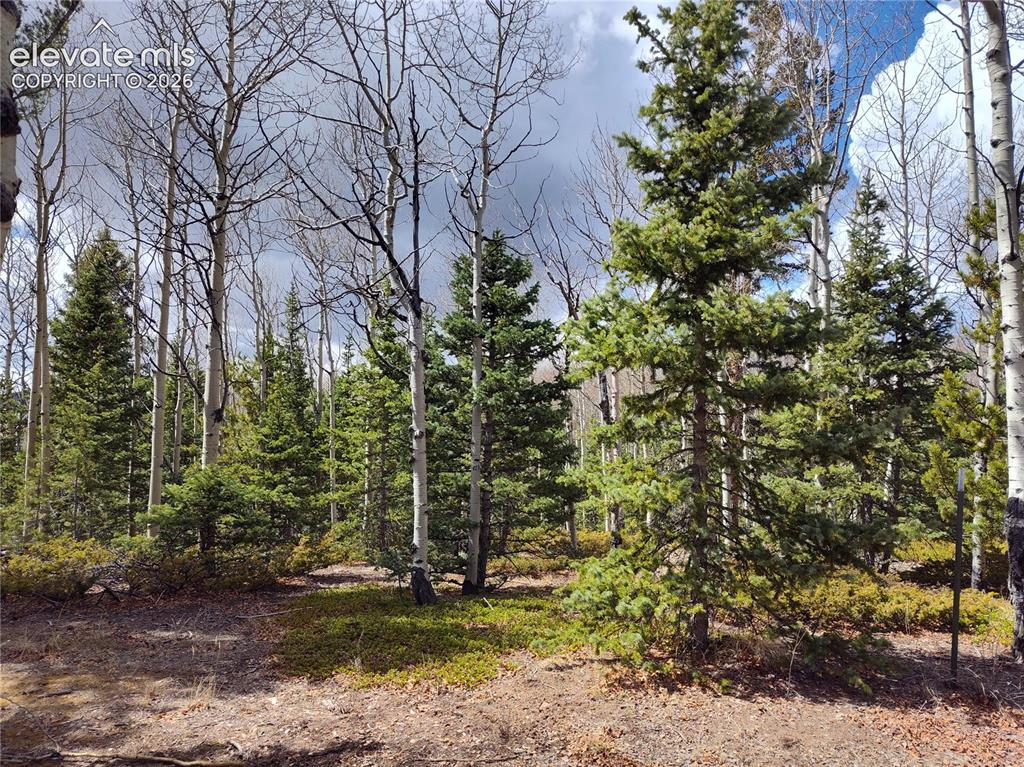 12201 S Highway 67 Cripple Creek CO 80813