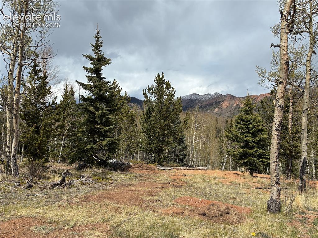 12201 S Highway 67 Cripple Creek CO 80813