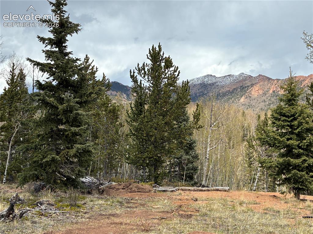 12201 S Highway 67 Cripple Creek CO 80813