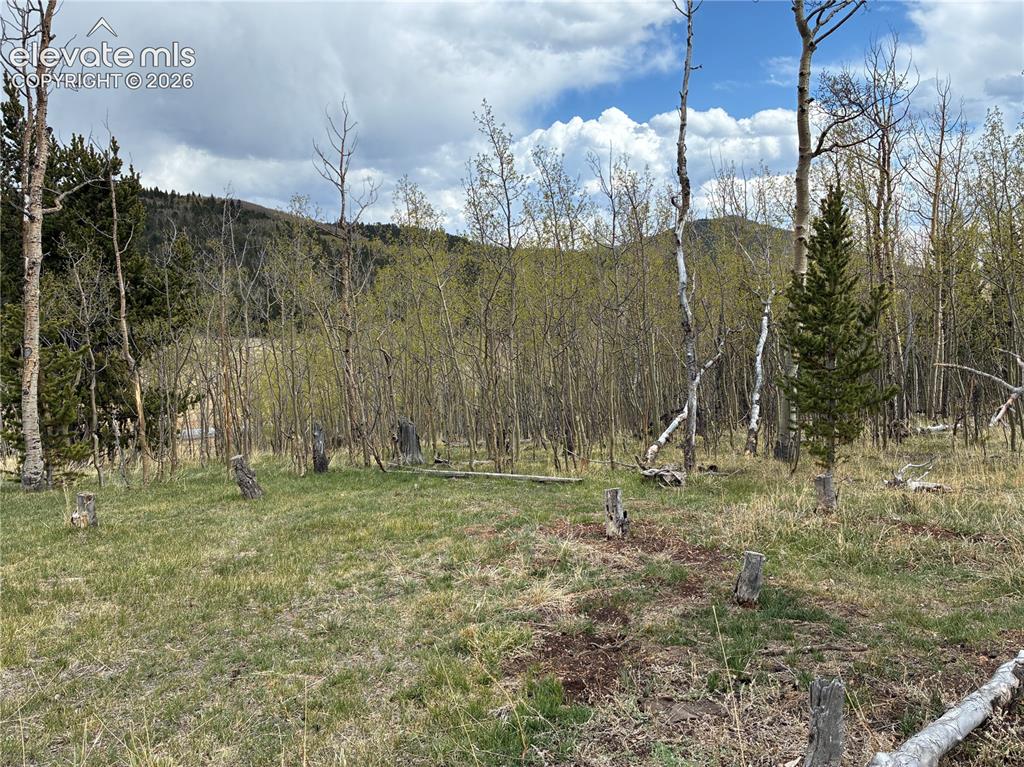 12201 S Highway 67 Cripple Creek CO 80813