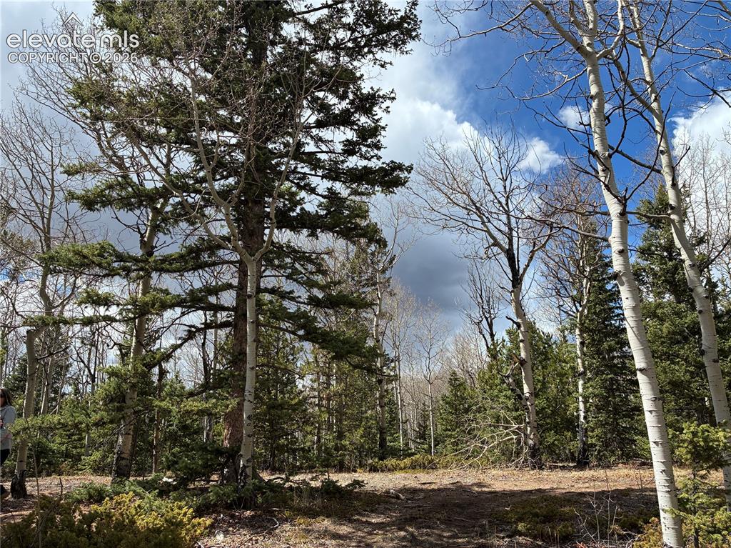 12201 S Highway 67 Cripple Creek CO 80813