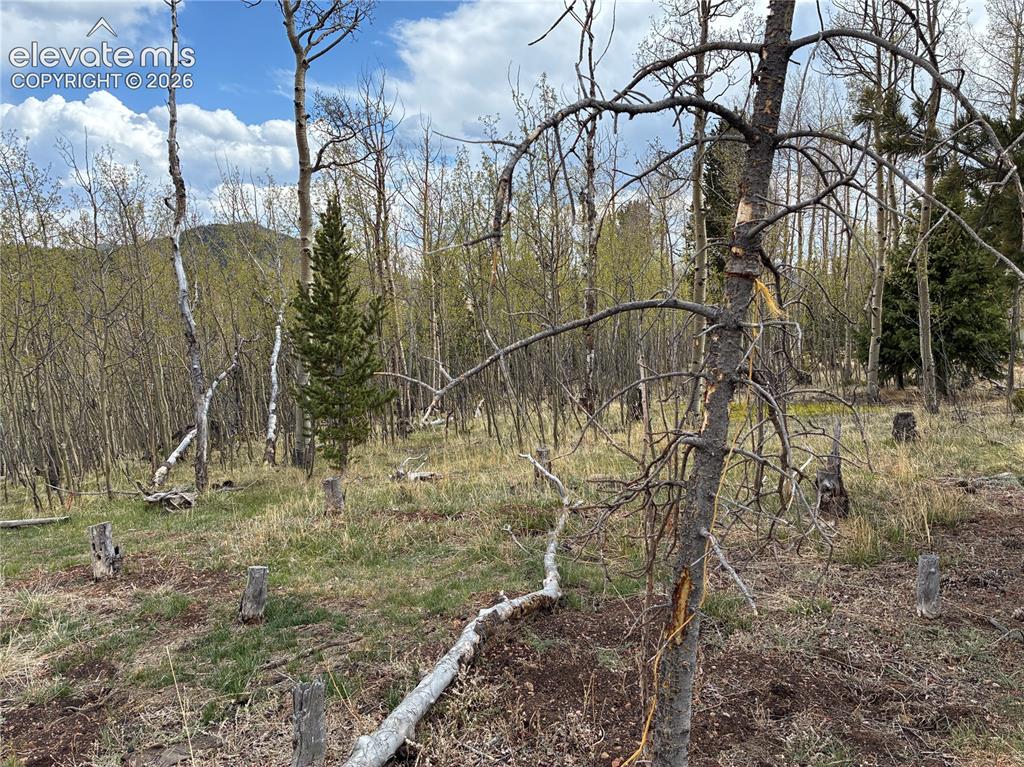 12201 S Highway 67 Cripple Creek CO 80813