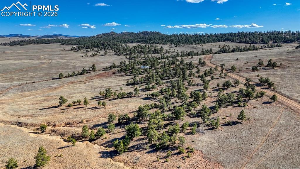 Lot 5103 Anasazi Road Hartsel CO 80449