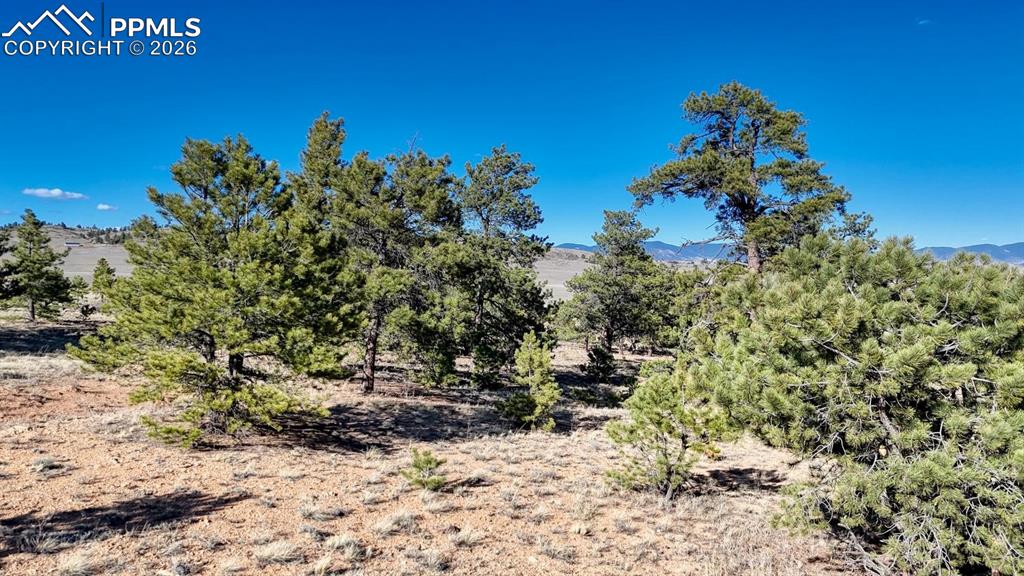Lot 5103 Anasazi Road Hartsel CO 80449