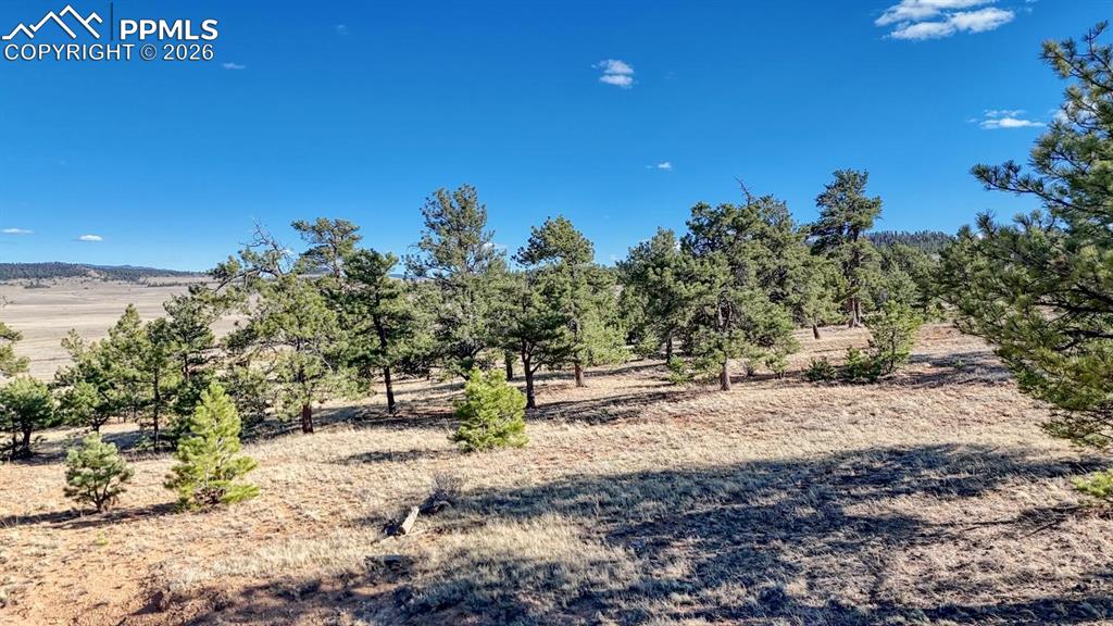 Lot 5103 Anasazi Road Hartsel CO 80449