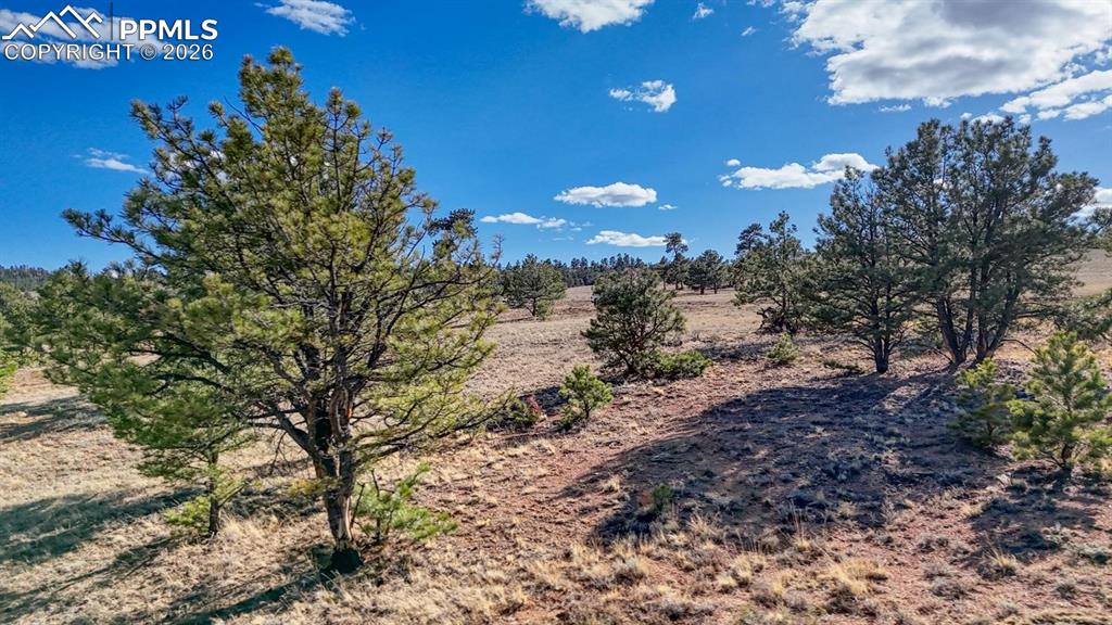 Lot 5103 Anasazi Road Hartsel CO 80449