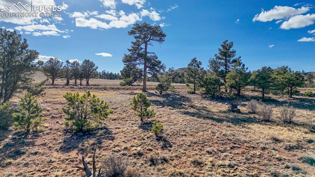 Lot 5103 Anasazi Road Hartsel CO 80449
