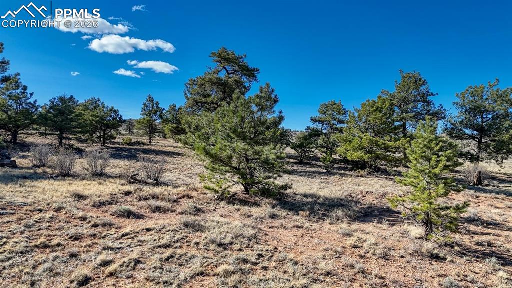 Lot 5103 Anasazi Road Hartsel CO 80449