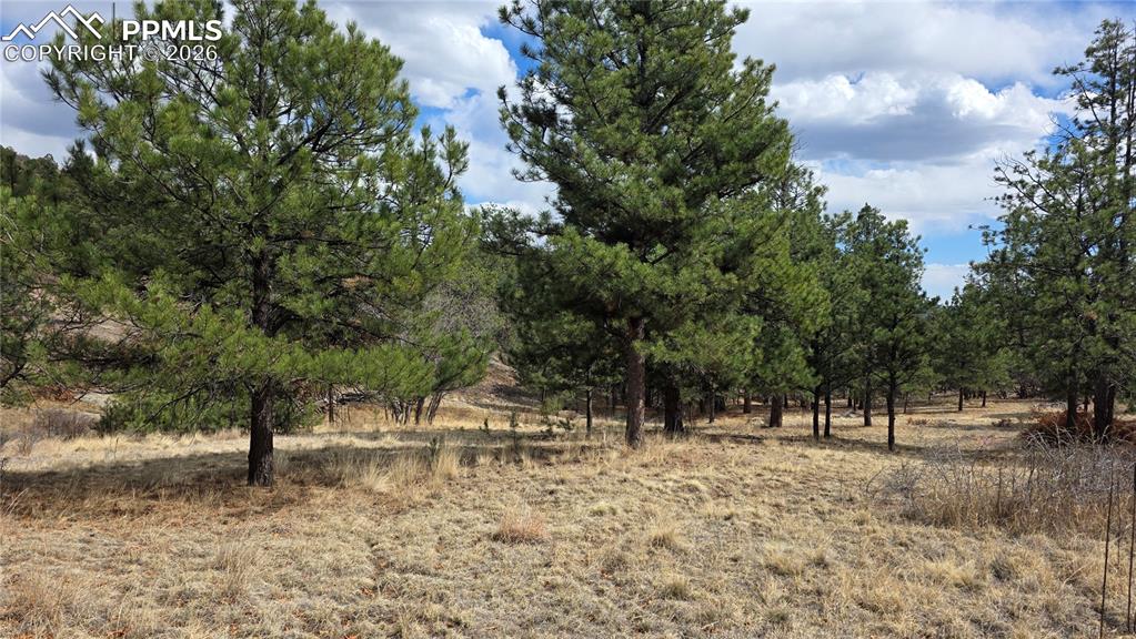 2002 Comanche Circle Florissant CO 80816