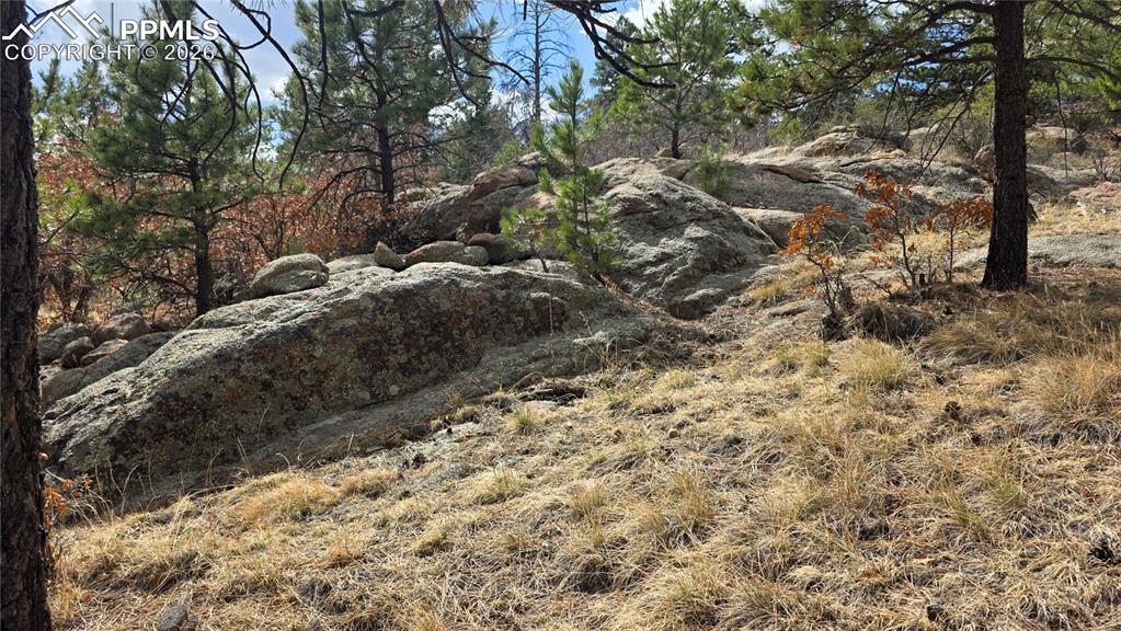 2002 Comanche Circle Florissant CO 80816