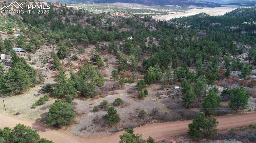 2002 Comanche Circle Florissant CO 80816