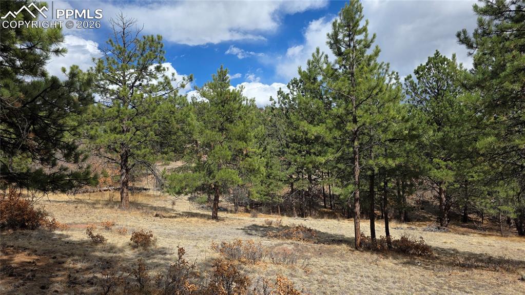 2002 Comanche Circle Florissant CO 80816