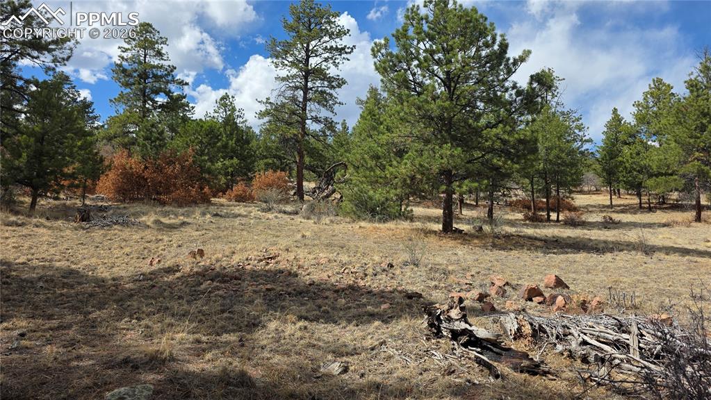 2002 Comanche Circle Florissant CO 80816