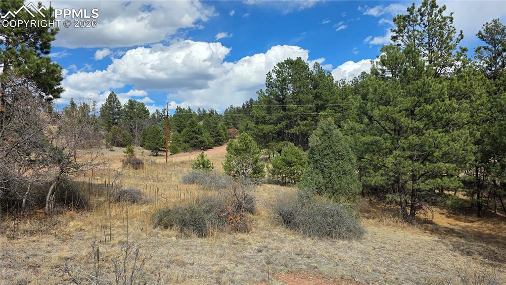 2002 Comanche Circle Florissant CO 80816