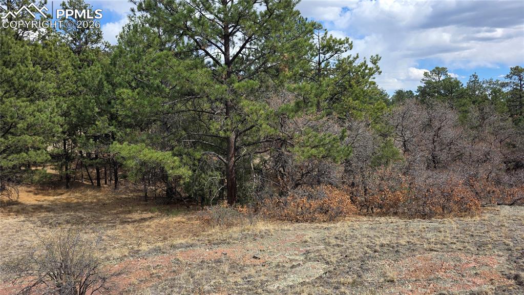 2002 Comanche Circle Florissant CO 80816