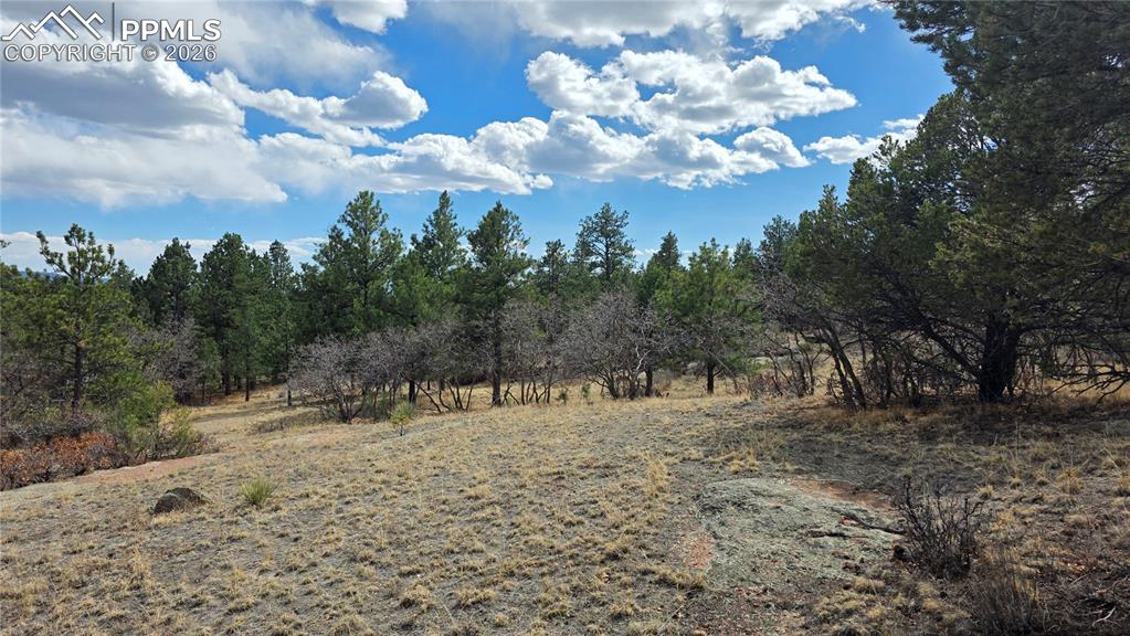 2002 Comanche Circle Florissant CO 80816