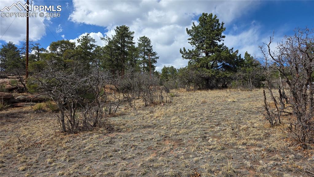 2002 Comanche Circle Florissant CO 80816