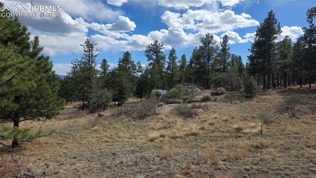 2002 Comanche Circle Florissant CO 80816