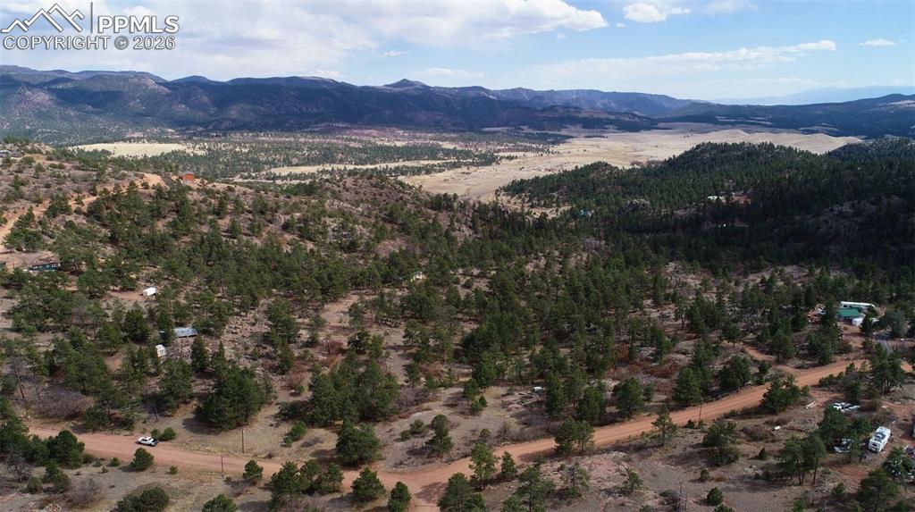 2002 Comanche Circle Florissant CO 80816