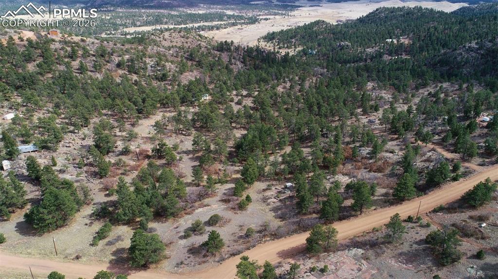 2002 Comanche Circle Florissant CO 80816