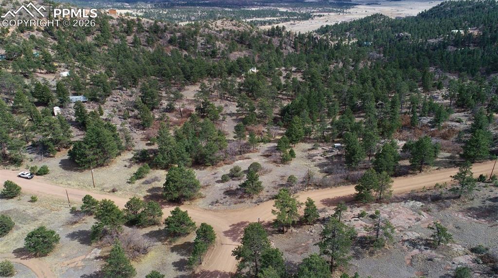 2002 Comanche Circle Florissant CO 80816