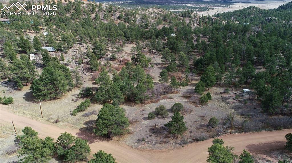 2002 Comanche Circle Florissant CO 80816