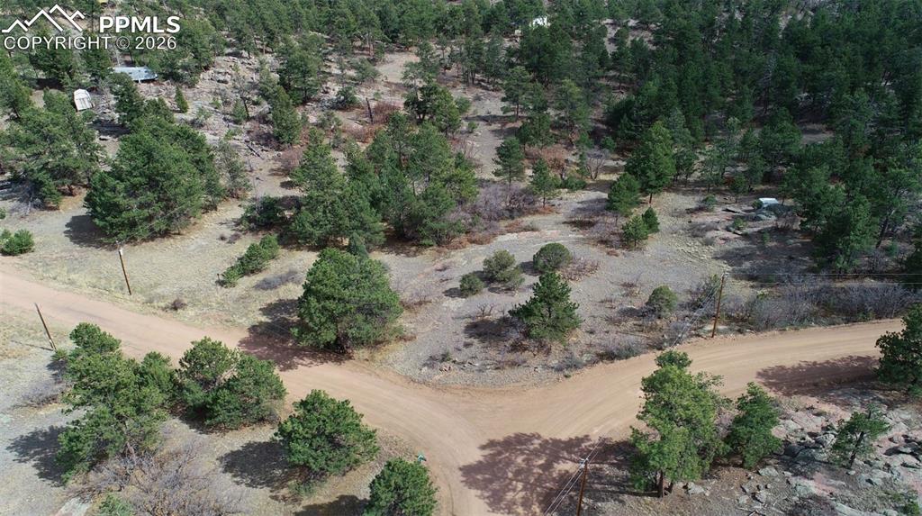 2002 Comanche Circle Florissant CO 80816
