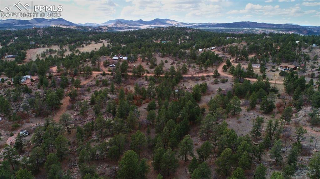 2002 Comanche Circle Florissant CO 80816