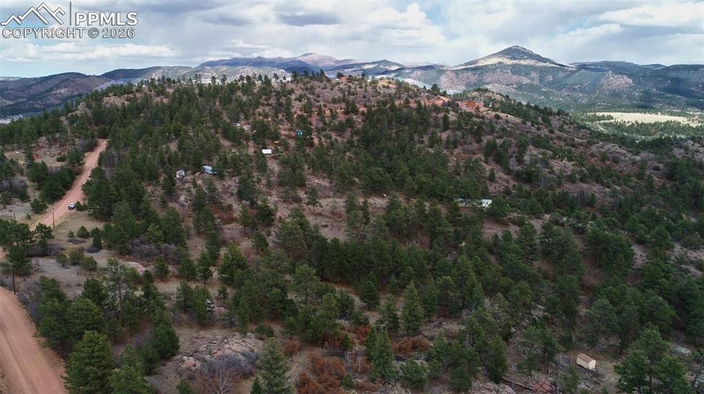 2002 Comanche Circle Florissant CO 80816