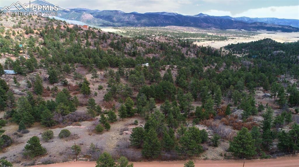 2002 Comanche Circle Florissant CO 80816