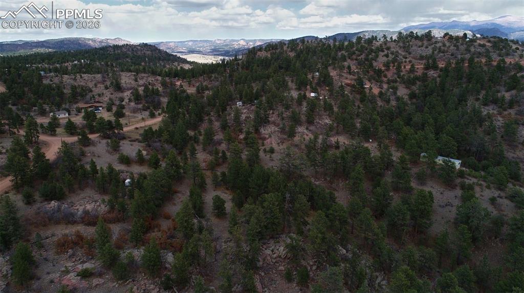 2002 Comanche Circle Florissant CO 80816