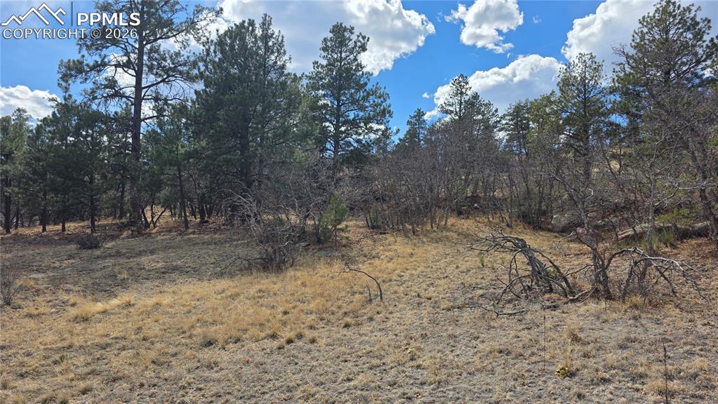 2002 Comanche Circle Florissant CO 80816