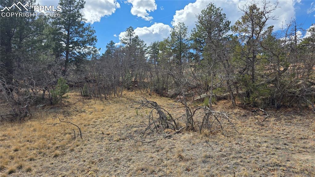 2002 Comanche Circle Florissant CO 80816