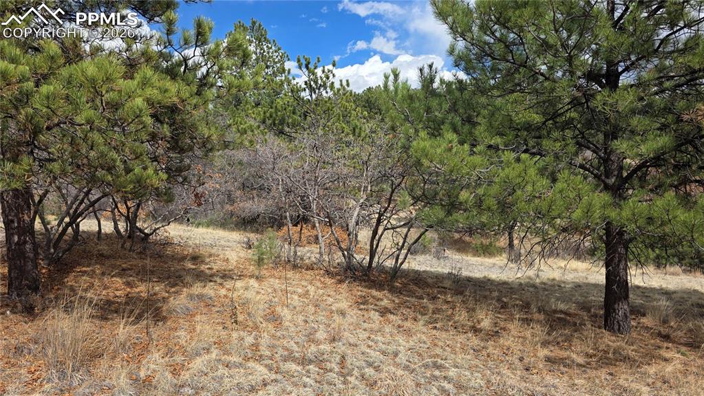 2002 Comanche Circle Florissant CO 80816
