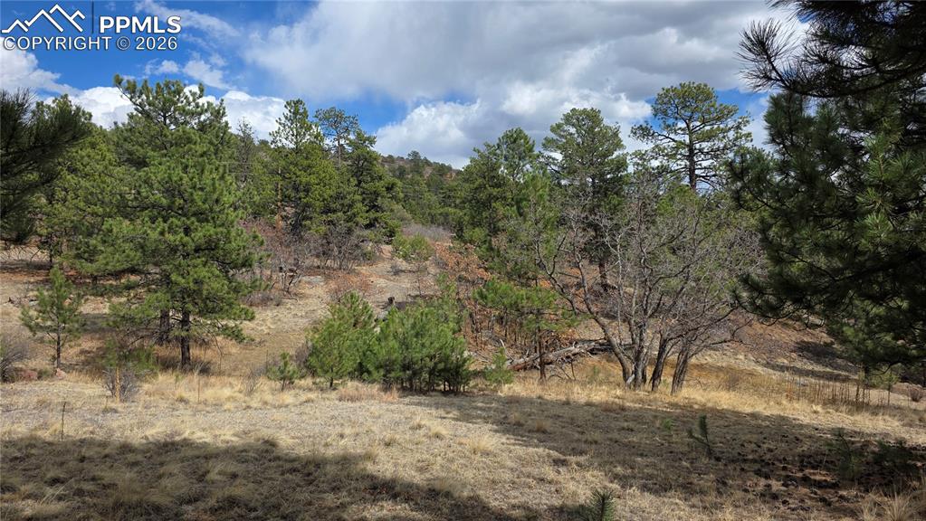 2002 Comanche Circle Florissant CO 80816