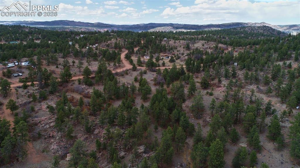 2002 Comanche Circle Florissant CO 80816