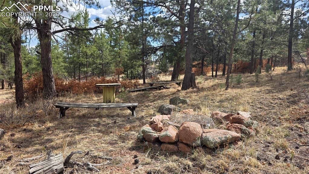 2002 Comanche Circle Florissant CO 80816
