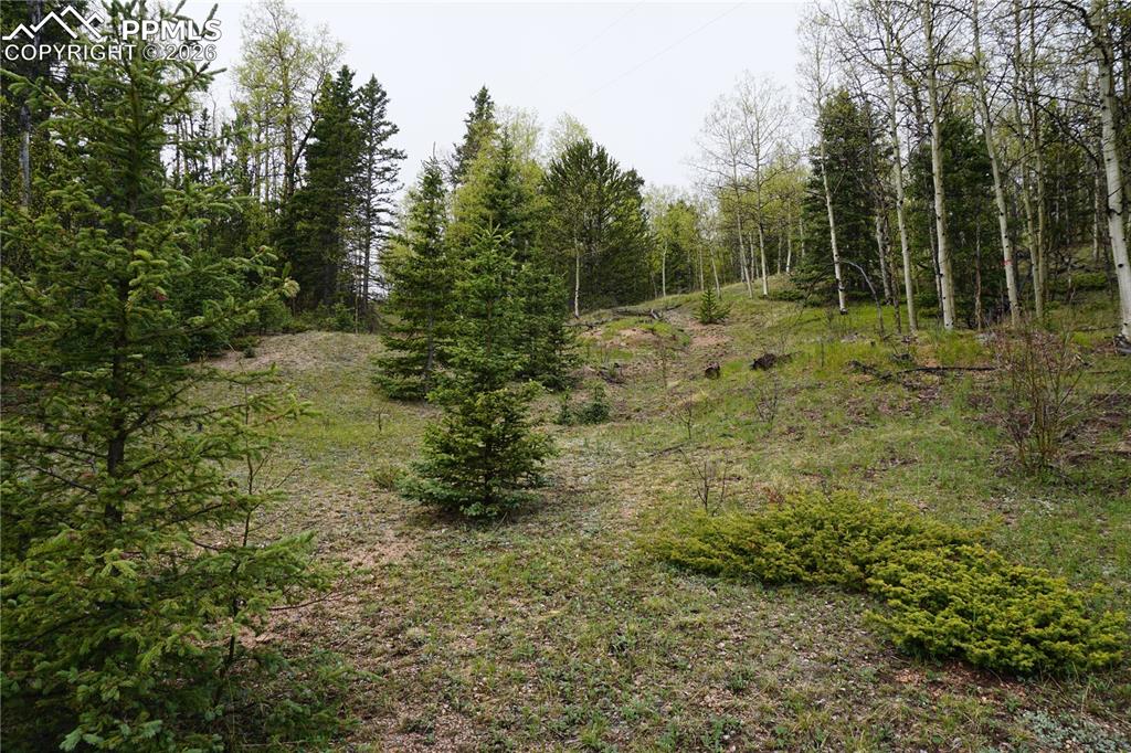Vacant Land Cripple Creek CO 80813