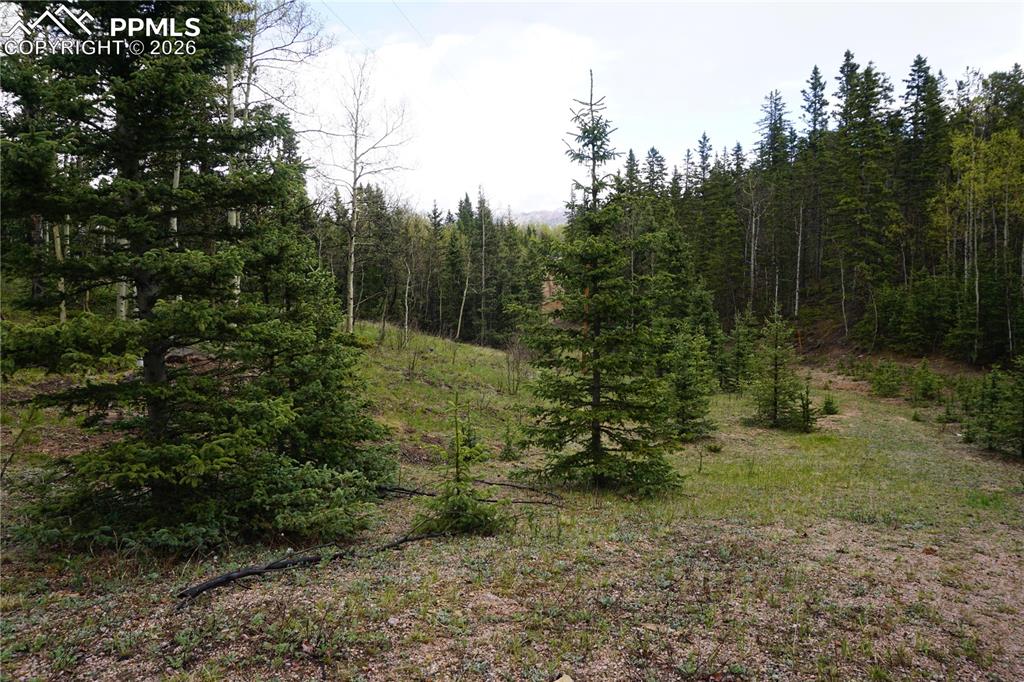 Vacant Land Cripple Creek CO 80813